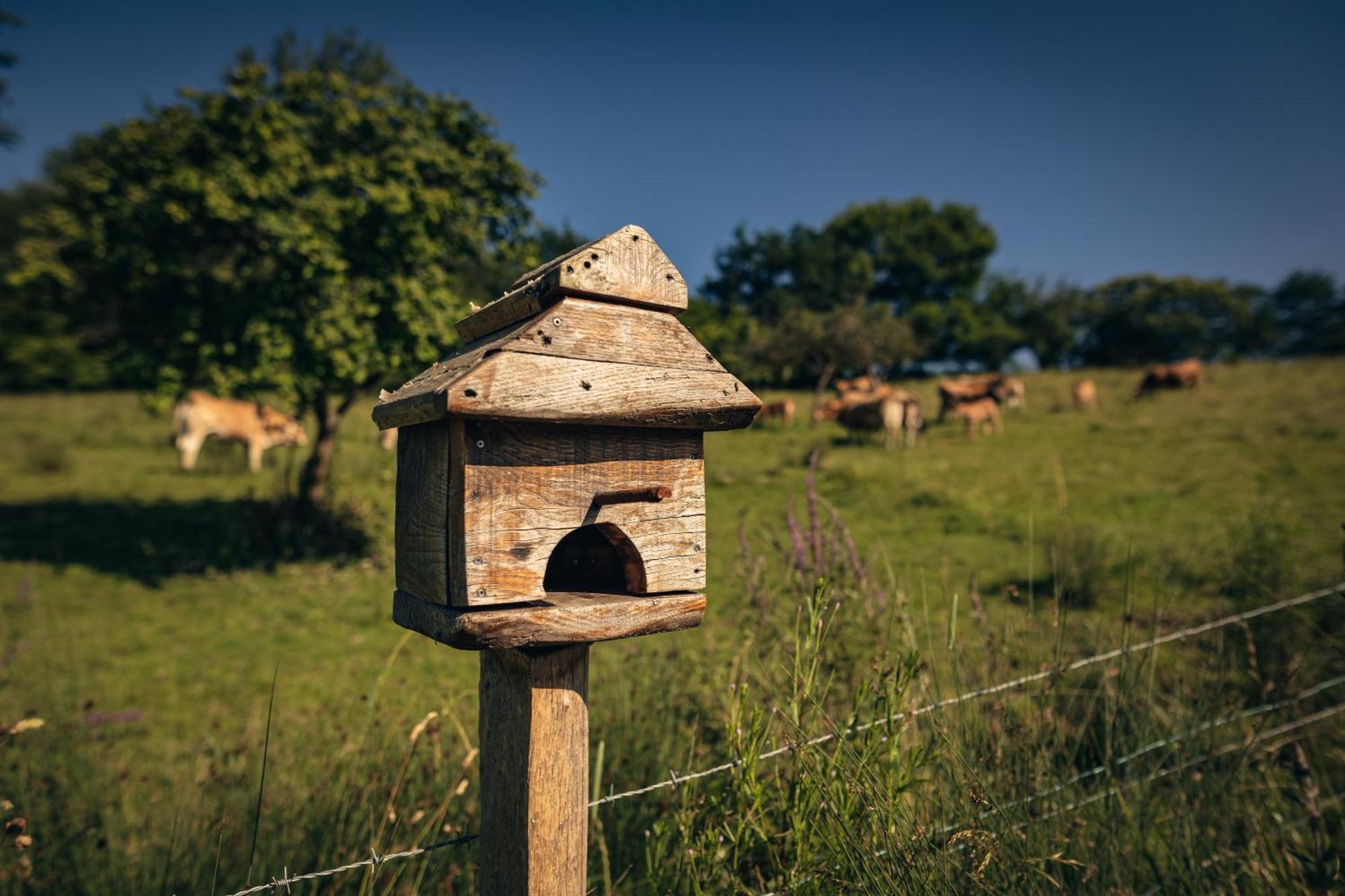 Finca La Naguada Casa Rural En Asturias Beloncio Zewnętrze zdjęcie