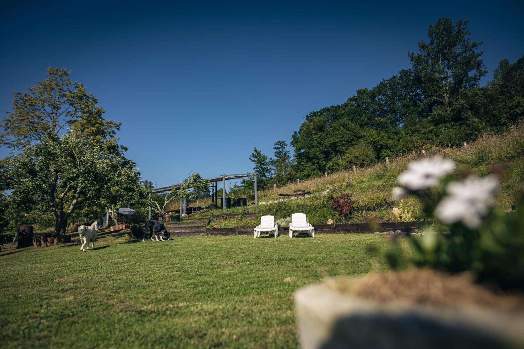 Finca La Naguada Casa Rural En Asturias Beloncio Zewnętrze zdjęcie