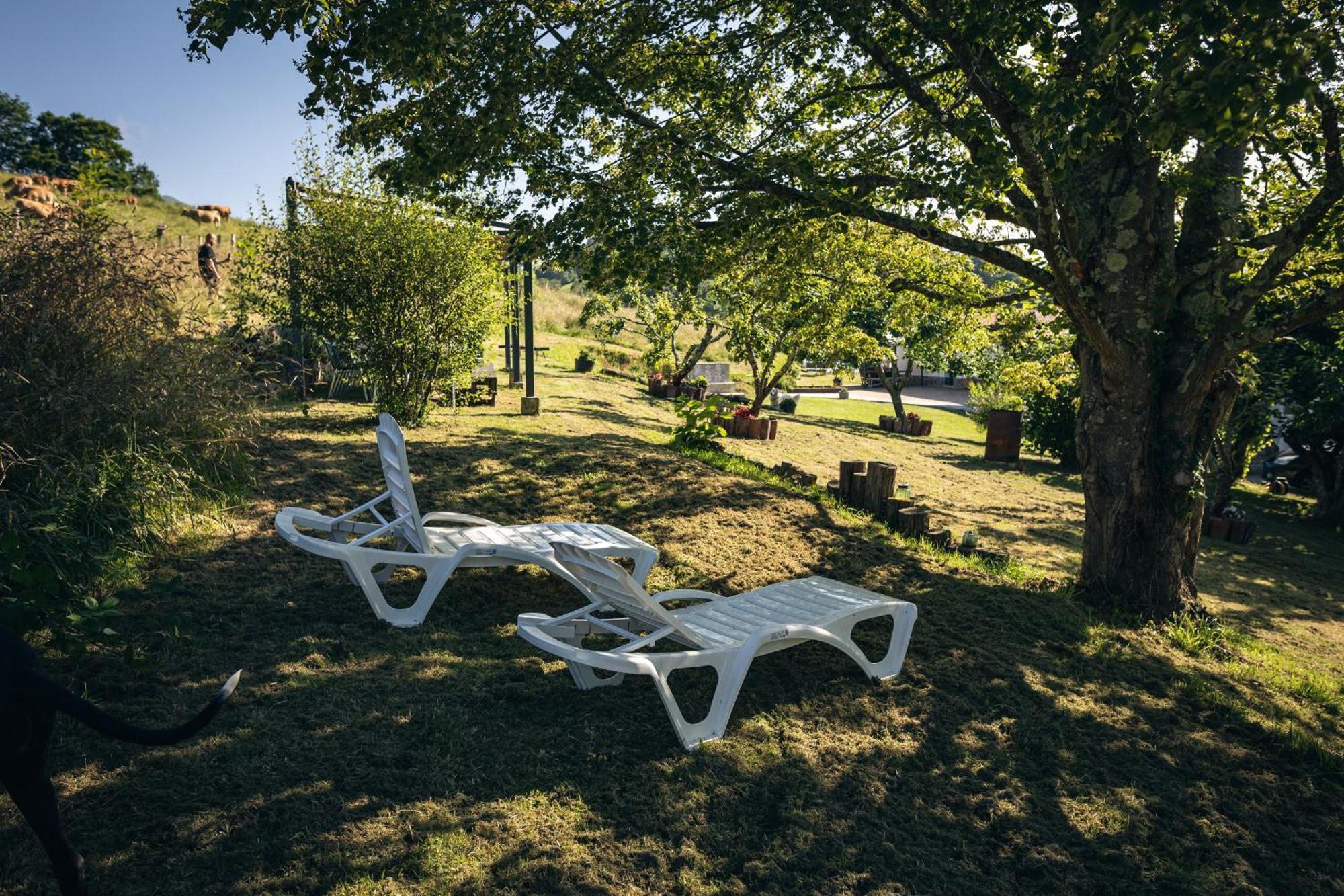 Finca La Naguada Casa Rural En Asturias Beloncio Zewnętrze zdjęcie