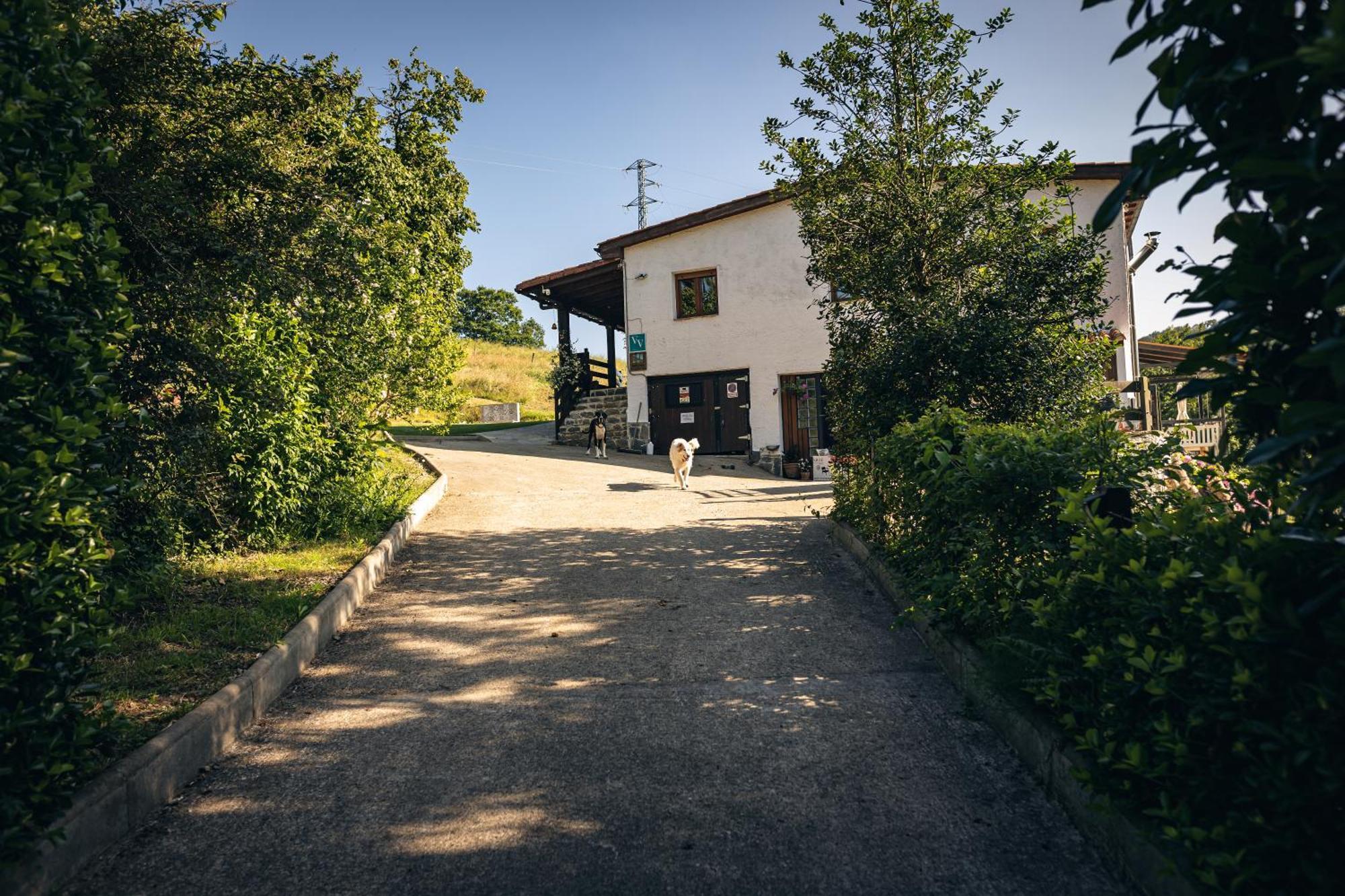 Finca La Naguada Casa Rural En Asturias Beloncio Zewnętrze zdjęcie